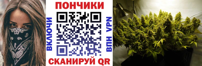 Канабис планчик  Гагарин 
